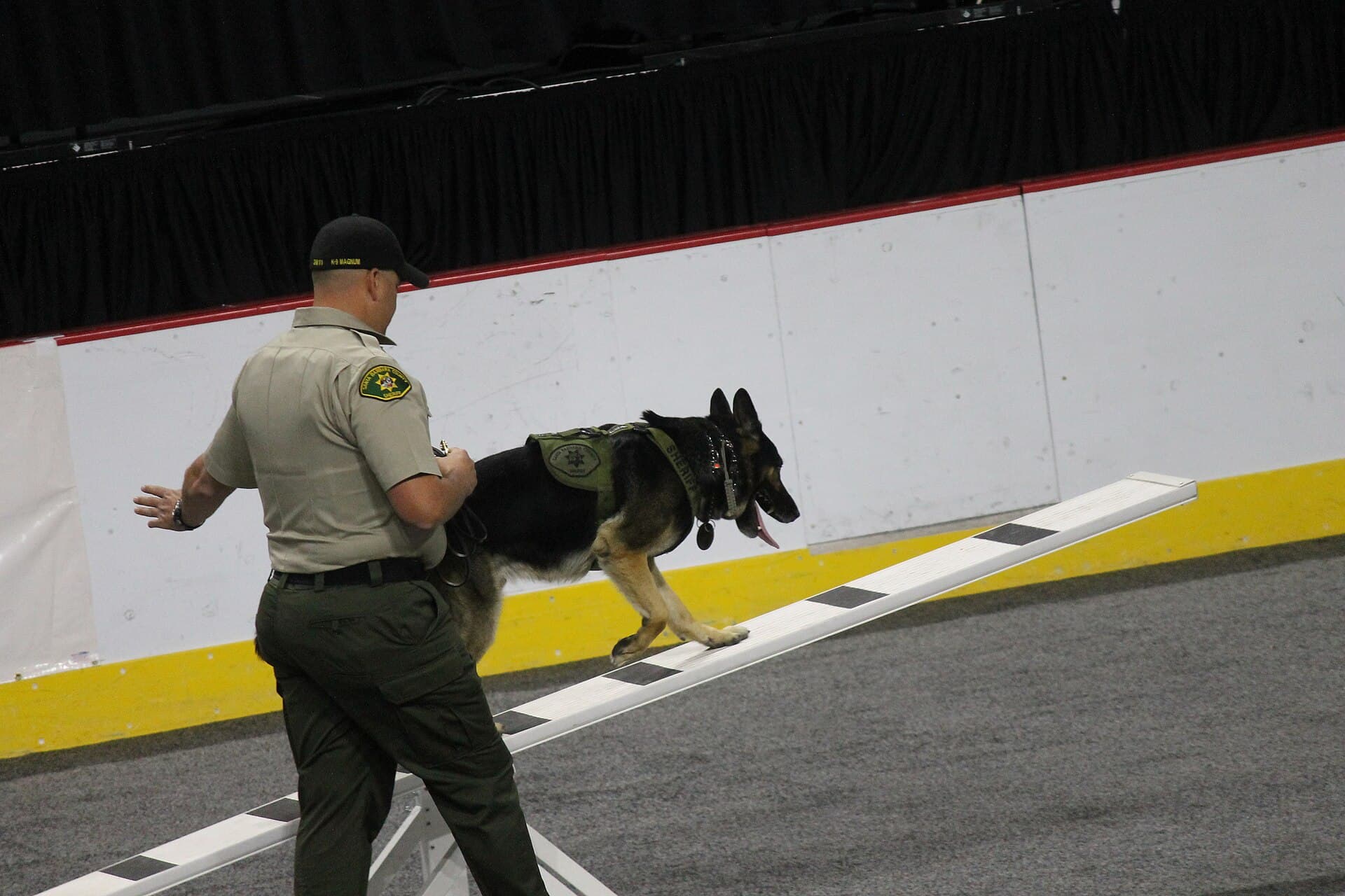 GTA 6 Police Dogs and Spike Strips: How K9 Units Work